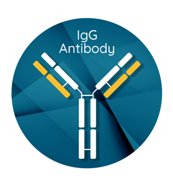 COVID_antibody